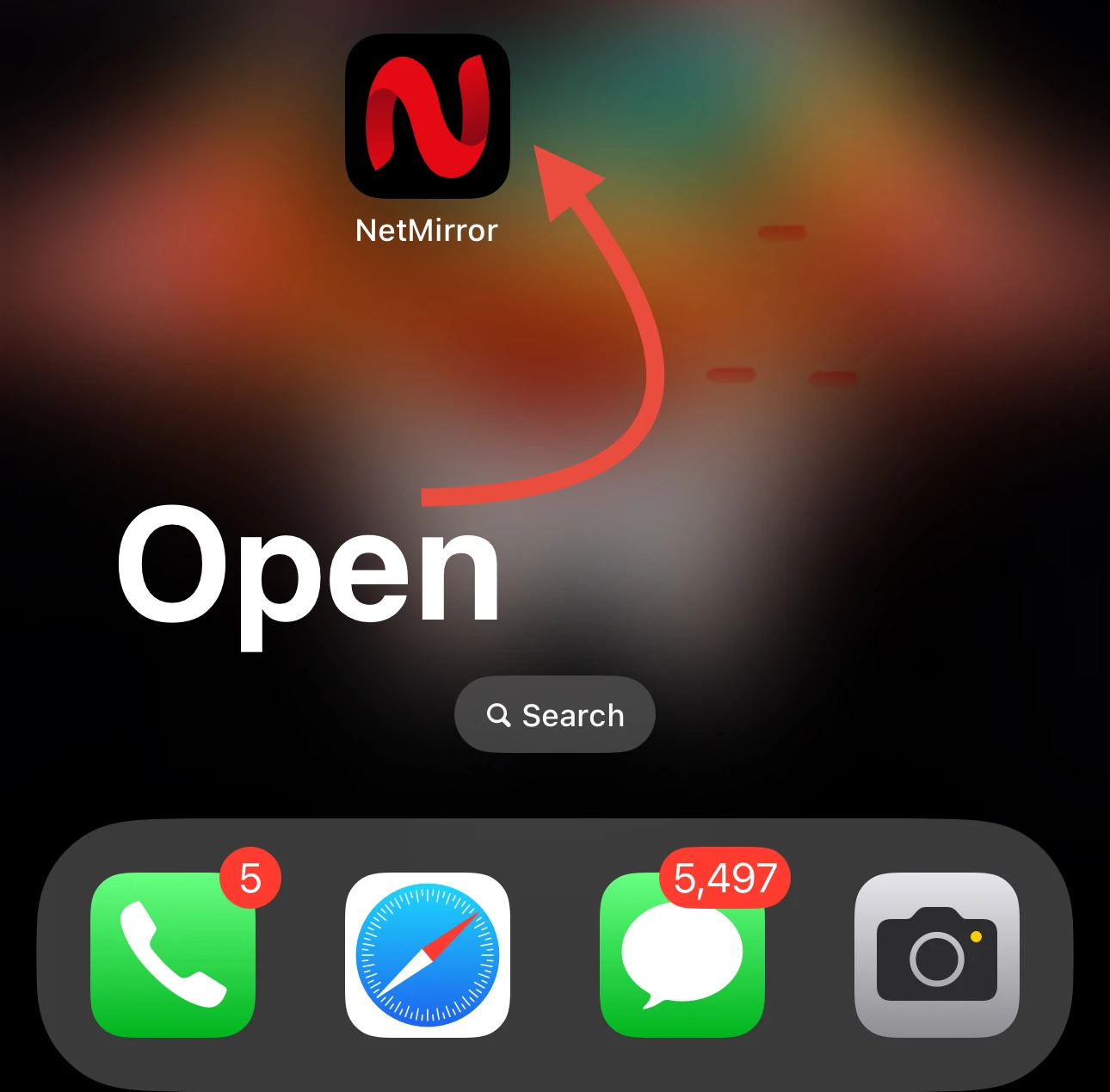 NetFree Installation Overview